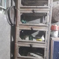 جف.کن کبوتر زیرکشویی پنج طبقه
