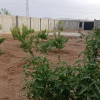فروش یا معاوضه زمین باغ ۵۰۰ متری پشت هنرستان پارسا
