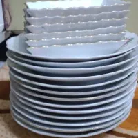 بشقاب گل قرمز