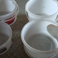 سطل جا خرما