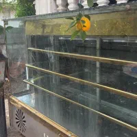 یخچال شیرینی و پروتئینی