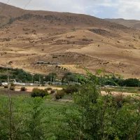 اکیپ کاری زرنگ