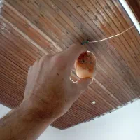 سنگهای باستانی خیلی دورتراز قرن ها|کلکسیون اشیاء عتیقه|رشت, فرودگاه سردار جنگل رشت|دیوار