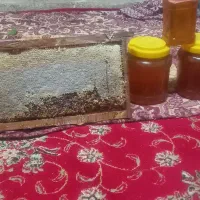 فروش عسل کاملا طبیعی تضمینی|خوردنی و آشامیدنی|صوفیان, |دیوار