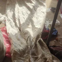 ته طاقه و تیکه پارچه و کاور کوسن و دور گردنی|لوازم خیاطی و بافتنی|ری, دیلمان|دیوار