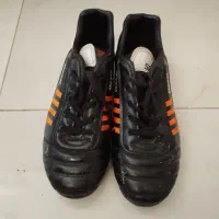 کفش چمن|کیف، کفش، کمربند|نیشابور, مدرس|دیوار