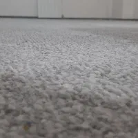 موکت پالاز به متراژ ۵۰ متر