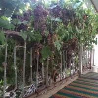 خانه  ویلایی  دو طبقه