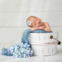 عکاسی|خدمات پذیرایی، مراسم|اردبیل, |دیوار