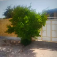رهن-و-اجاره