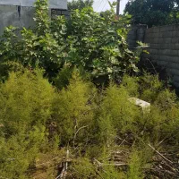 فروش زمین کلاردشت