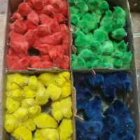 جوجه اردک گوشتی هفت روزه وجوجه گلین وکاکول