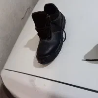 دستکش خال دار ۱۵ جفت|کیف، کفش، کمربند|محمدشهر, محمدشهر|دیوار