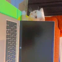 فروش لپتاپ  اچ پی HP proBook 430 G8