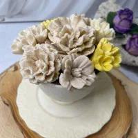 فنجان و نلبکی شکلاتی