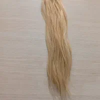 فروش کله مانکن و تعدادی موی طبیعی|آرایشگاه و سالنهای زیبایی|شیراز, غدیر شمالی|دیوار