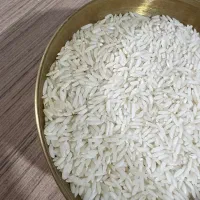 برنج هاشمی شرق گیلان