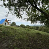 کلبه سوئیسی تو ارتفاع دل جنگل با تموم امکانات|اجارهٔ کوتاه‌مدت ویلا و باغ|ماسال, |دیوار