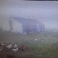 چادر عشایری ۳۲ متری