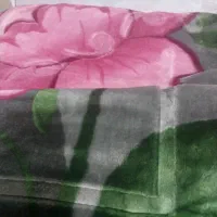 پتو|رختخواب، بالش، پتو|اهواز, فرهنگ شهر|دیوار