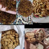 کشمش افتابی|خوردنی و آشامیدنی|بومهن, |دیوار