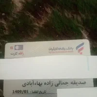 کارت پیدا شده