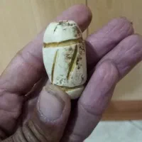 مهره قدیمی کهنه لوله ای