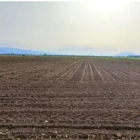 اجاره زمین کشاورزی بلوار امام رضا
