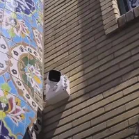 دوربین مداربسته هوشمند فورکی|دوربین مداربسته|مشهد, فدک|دیوار