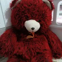 خرس ولنتاین و یلدا|اسباببازی|شیراز, شهرک مدرس|دیوار