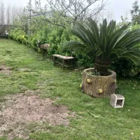 فروش-باغ-ویلا