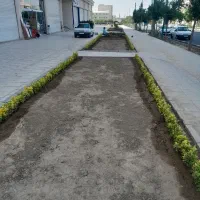 باغبانی ودرخت کاری جلال دلبری|خدمات باغبانی و درختکاری|تهران, سبلان (لشگر)|دیوار