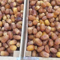 خرما زاهدی|خوردنی و آشامیدنی|اهواز, اسلام آباد شرقی|دیوار
