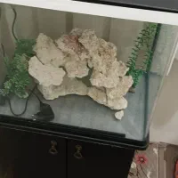 اکواریوم کامل با کمد،شیک نو.|ماهی|تهران, هفده شهریور|دیوار