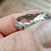 شجر|کلکسیون اشیاء عتیقه|ساوه, |دیوار