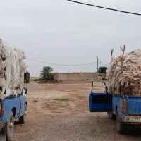 لوله ابیاری قطره ای پلاستیک کشاورزی سرزمین