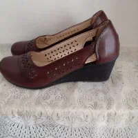 کفش سایز ۳۷