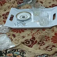 عروس هلندی نر