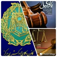 وکیل متخصص ملکی و تغییر کاربری دیوان عدالت