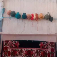 قالی زرونیمی