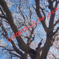 فروش سیم کارت نهصدودوازده کد 0