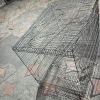 قفس سگ|لوازم جانبی حیوانات|بندرعباس, |دیوار