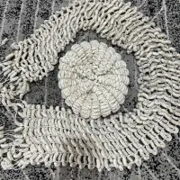 کلاه و شالگردن شیک نو نو کرمی