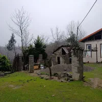 فروش-زمین-مسکونی-جنگل-های-سیاهکل-ستوگوابر