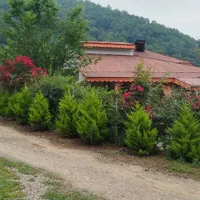 اجاره سالیانه ویلا جنگلی در دل طبیعت