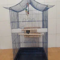 قفس عروس هلندی