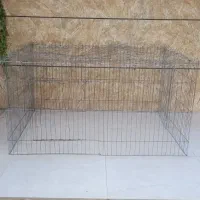 پارک سگ