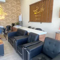 نیازمند۲ همکار خانم