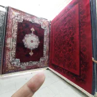همتا فرش قالی|فرش|شیراز, میانرود|دیوار