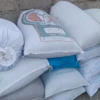 گندم آبی سارنک